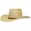 Ariat Boys' Straw Twister Western Hat -Sheplers Sales 2000350285 280 P1